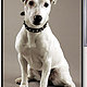 princess-sophia princess-sophia