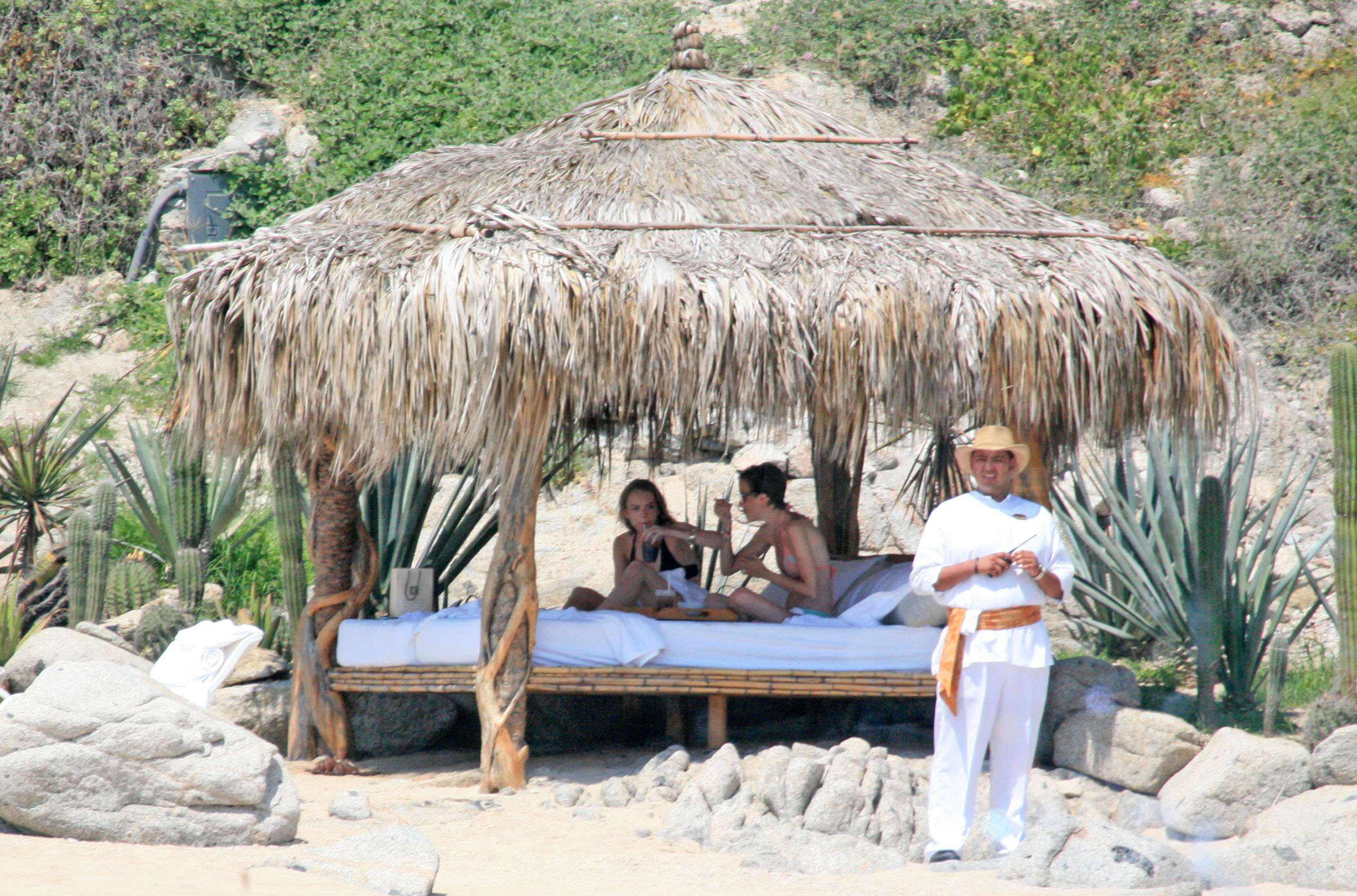 Image Image