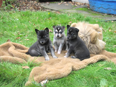 Image Image