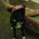 lilwildone1202 lilwildone1202