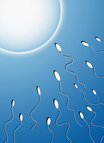 Five Over the Counter Ways to Increase Fertility Five Over the Counter Ways to Increase Fertility
