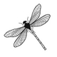 Dragonflye Dragonflye