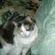 LouLou7 LouLou7
