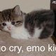 ECR0Pro0Animals ECR0Pro0Animals
