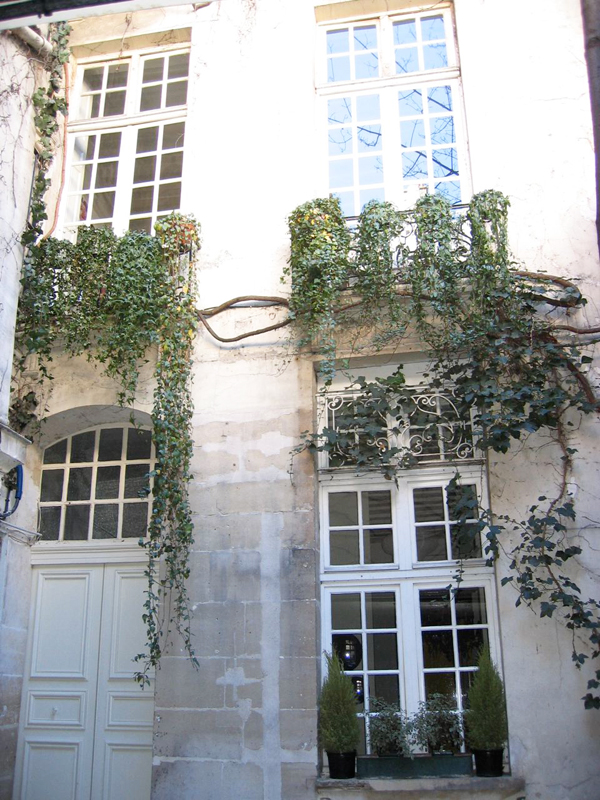 Image Image
