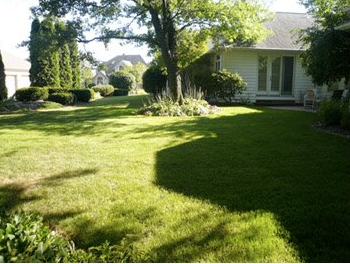 Image Image