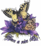 ButterflyOrchids ButterflyOrchids