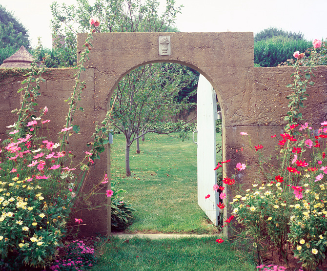 Image Image