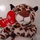 Leopardcc Leopardcc