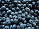 blueberry07 blueberry07