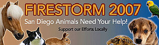 To the Rescue: Donating to Charity To the Rescue: Donating to Charity