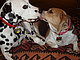 mattieandphoebe mattieandphoebe