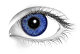 writerchic373 writerchic373