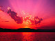 pinkflake2 pinkflake2