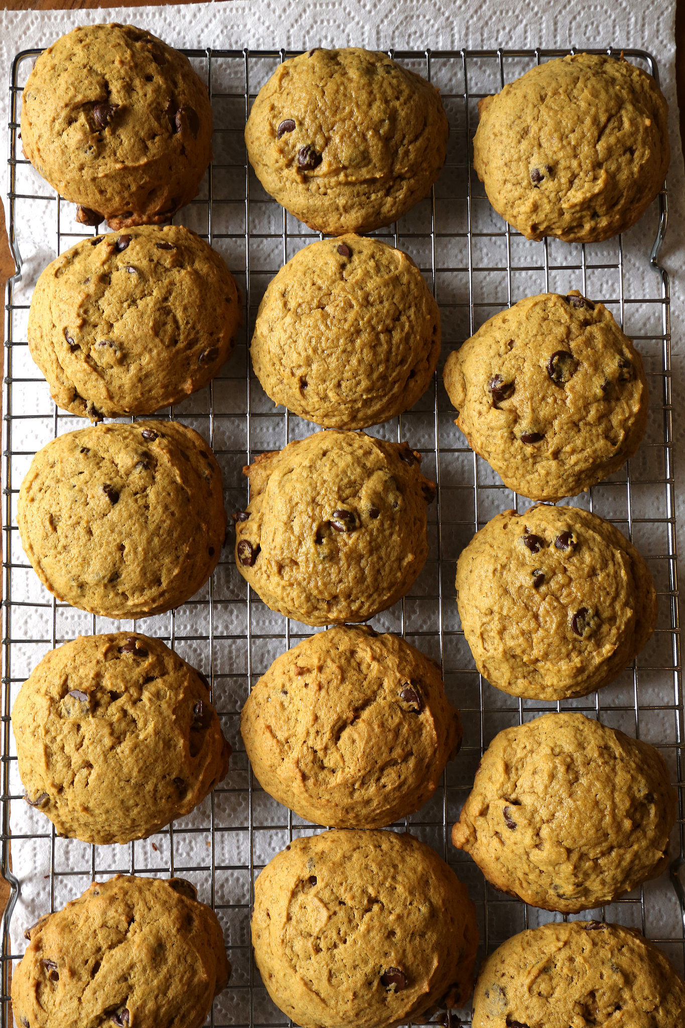 Pumpkin Chocolate Chip Cookie Recipe  POPSUGAR Food