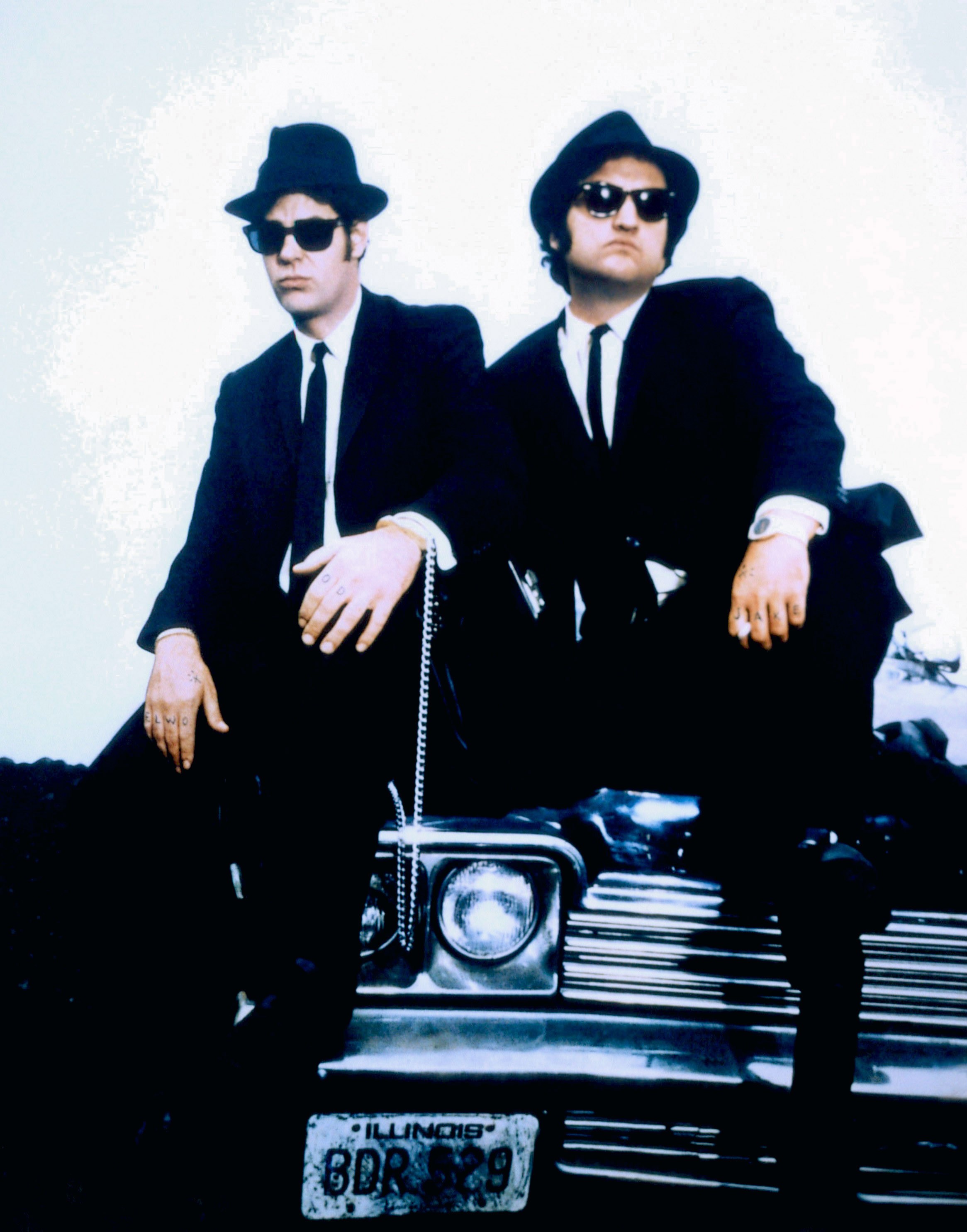 Jake and Elwood Blues From The Blues Brothers | 38 Pop-Culture ...