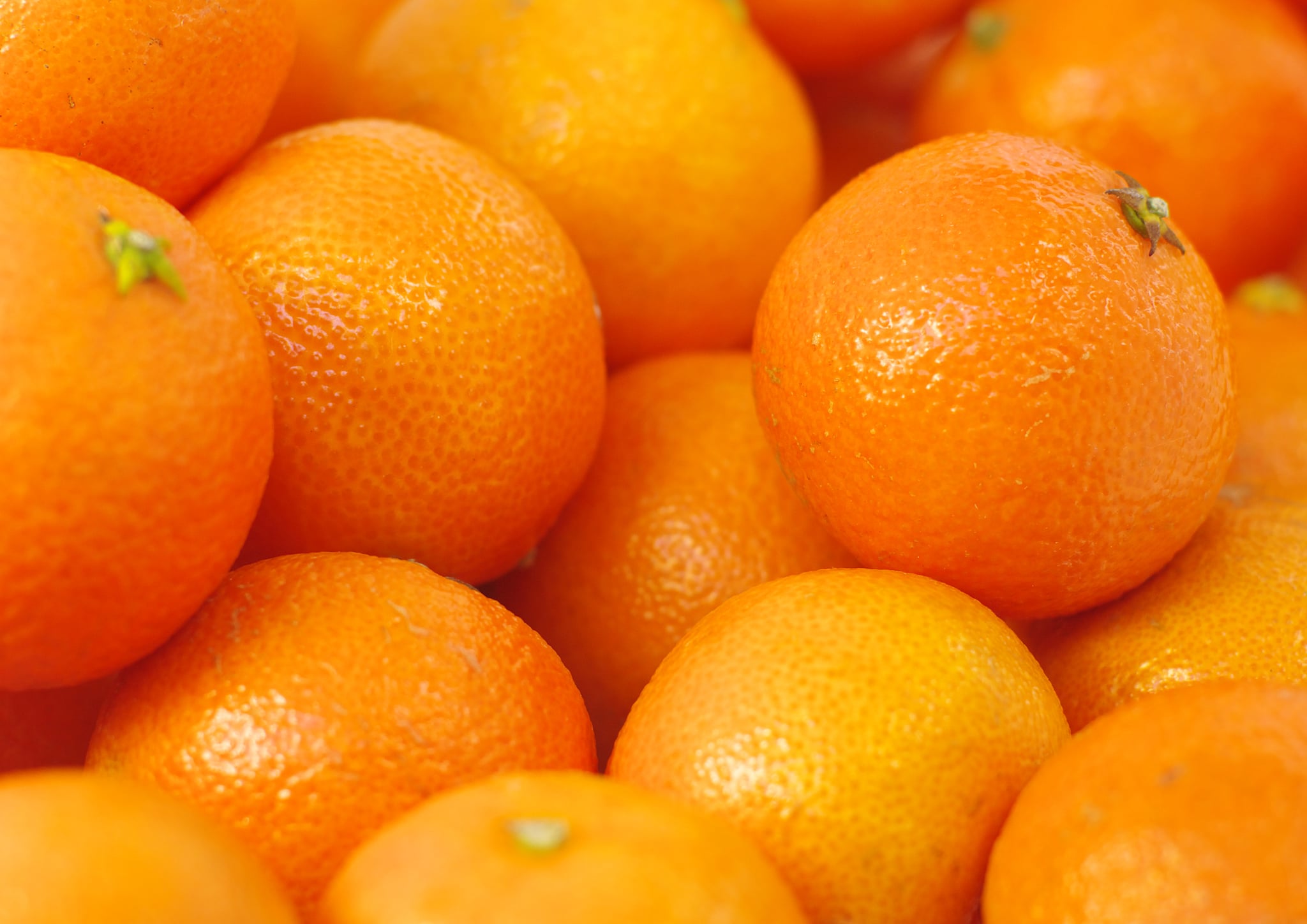 Oranges | 27 Fruit and Vegetable Wonders That Are in Season All Year ...