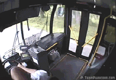 hard-trying-catch-bus-sometimes.gif